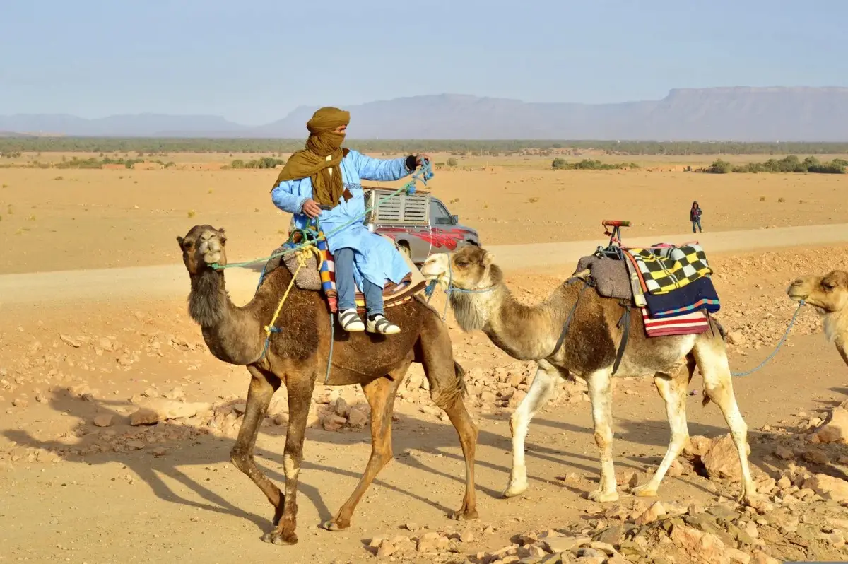 Explore Morocco's Sahara Desert through Morocco Packages Trips’ affordable travel deals with guided desert excursions and tours.